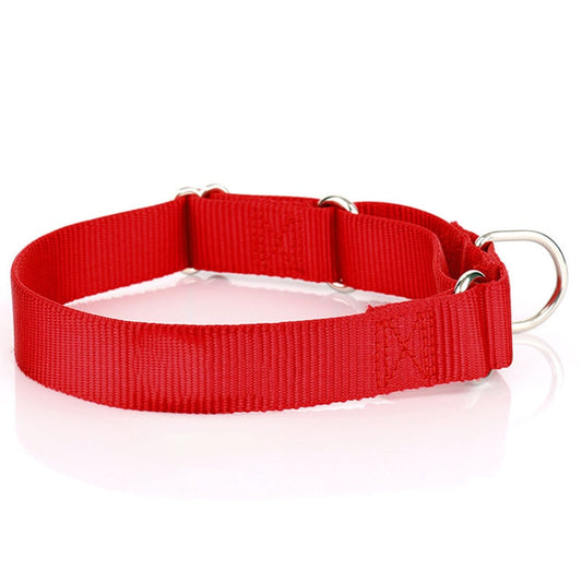 Sturdy Martingale Nylon Dog Collar