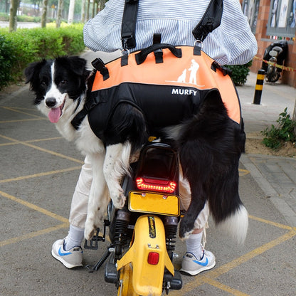 Outdoor Travel Airborne Dog Carrier