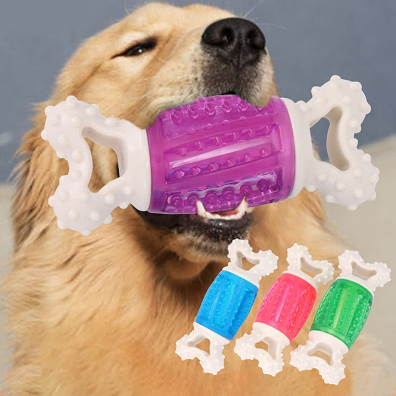 Tough Nylon Nontoxic Dog Chew Toy