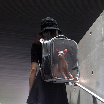 Clear Window Travel Pets Backpack