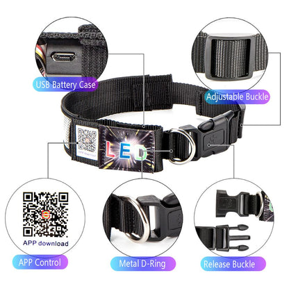 Text Display LED Dog Collar