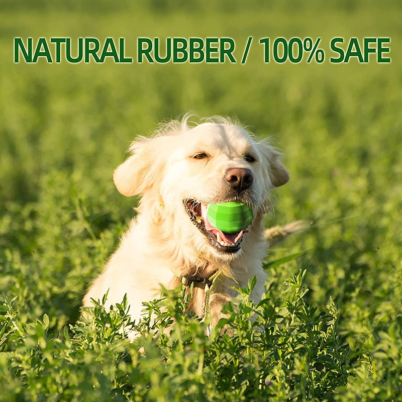 Squeaky Floatable Safe Rubber Dog Toys