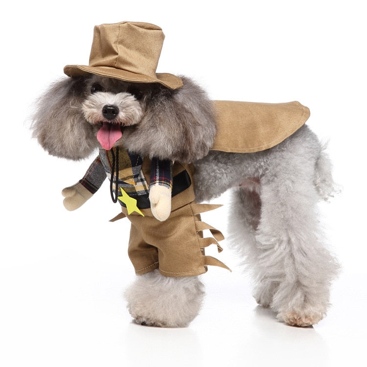 Halloween Cowboy Pets Costumes