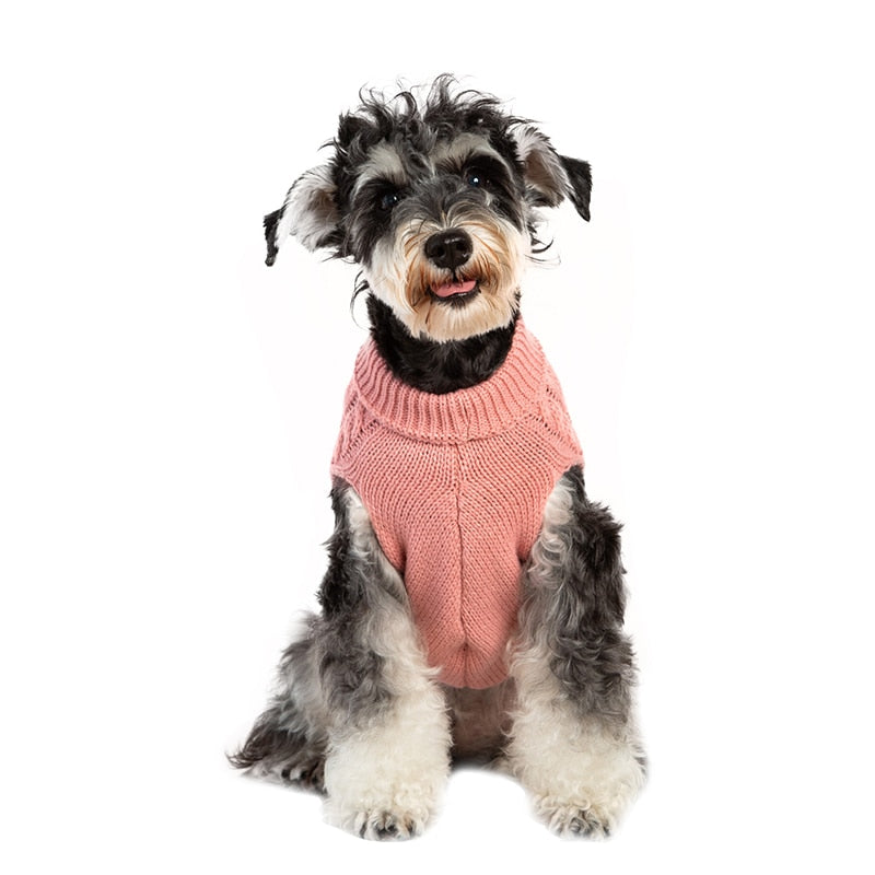 Cozy Turtleneck Knit Dog Sweater