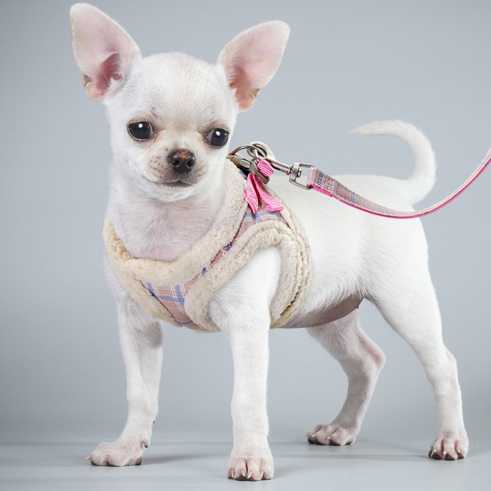 Cute Adjustable Walking Dog Harness