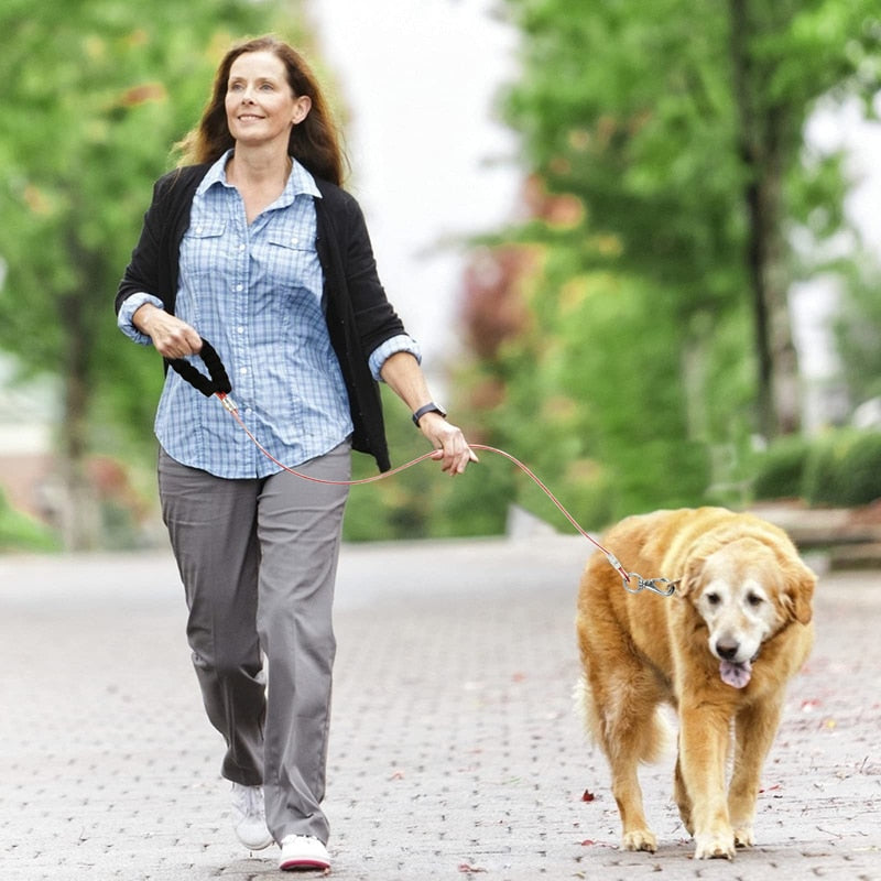 Indestructible Chew Proof Dog Leash