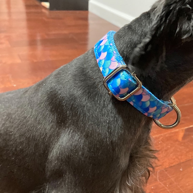 Elegant Mermaid Dog Collar