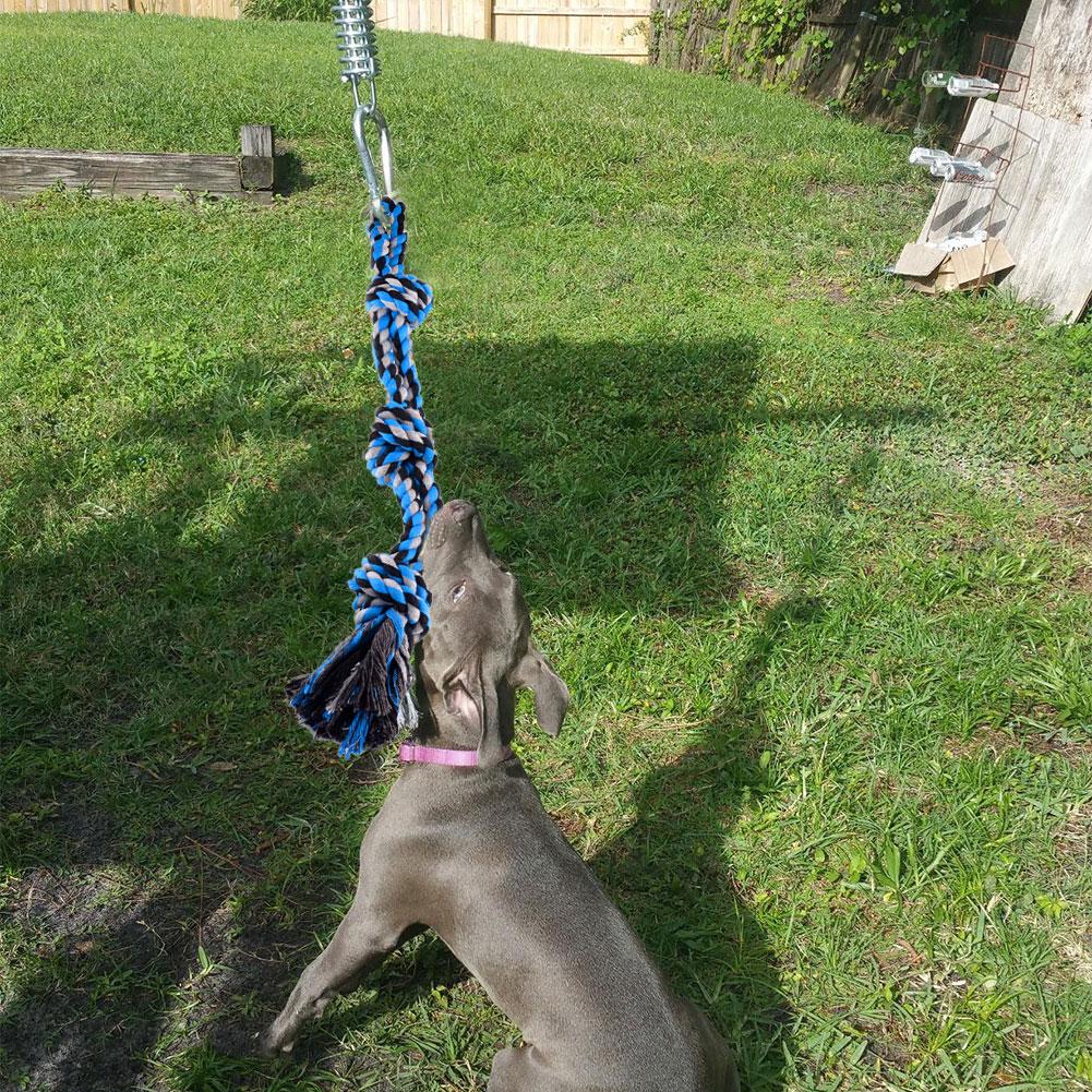 Spring Pole Dog Rope Toy