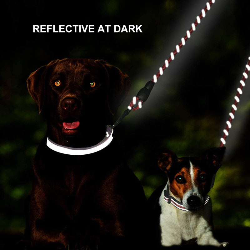 Reflective Strong Dual Dog Coupler Leash