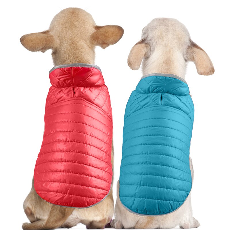 Reflective Trim Reversible Dog Coat