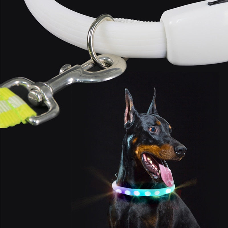 D-Buckle USB Rechargeable Dog Collar