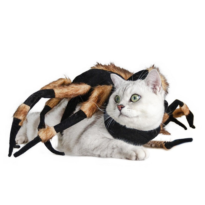 Funny Spider Pets Costume