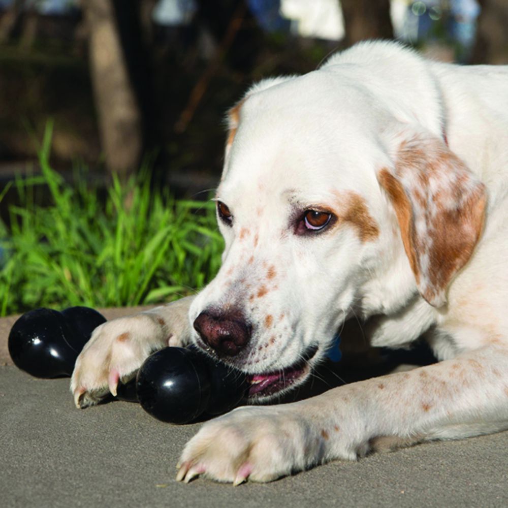 Extreme Goodie Bone Dog Toy