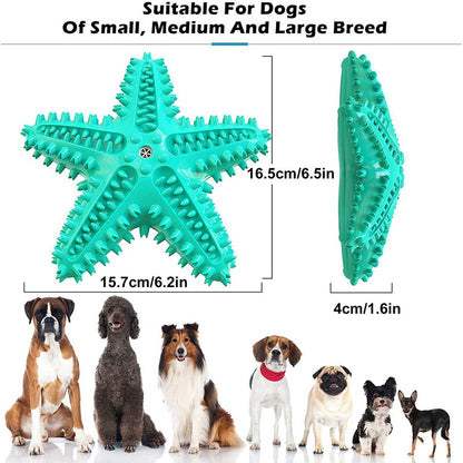 Squeaky Star Durable Dog Chew Toys