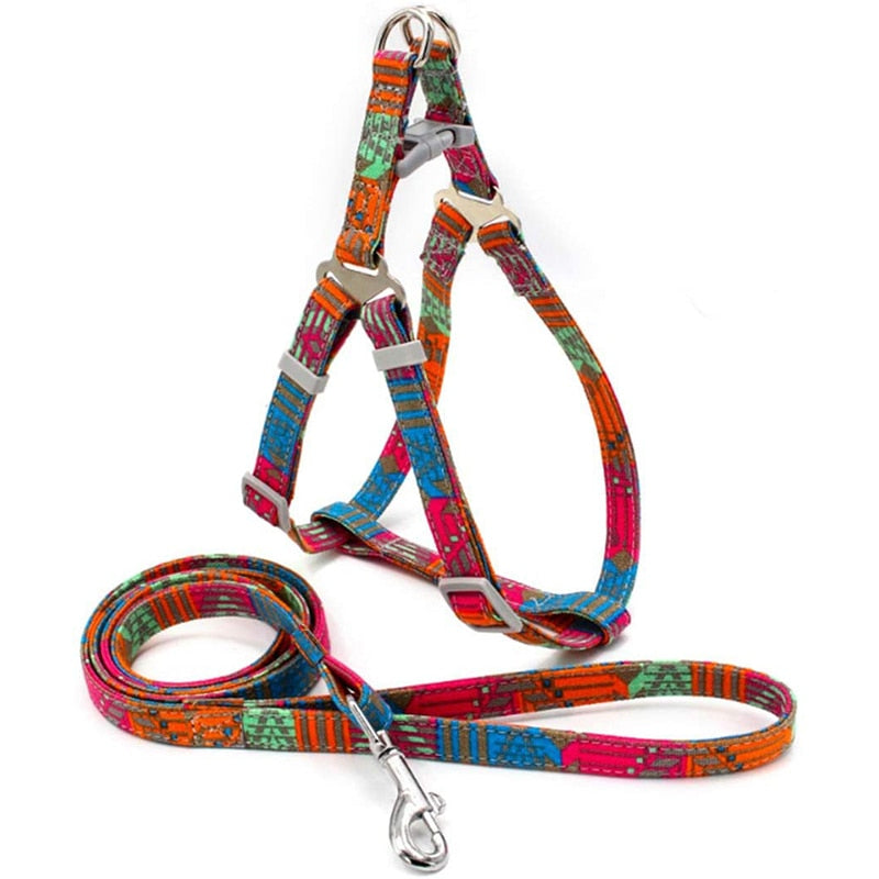 Retro Bohemia Dog Harness & Leash