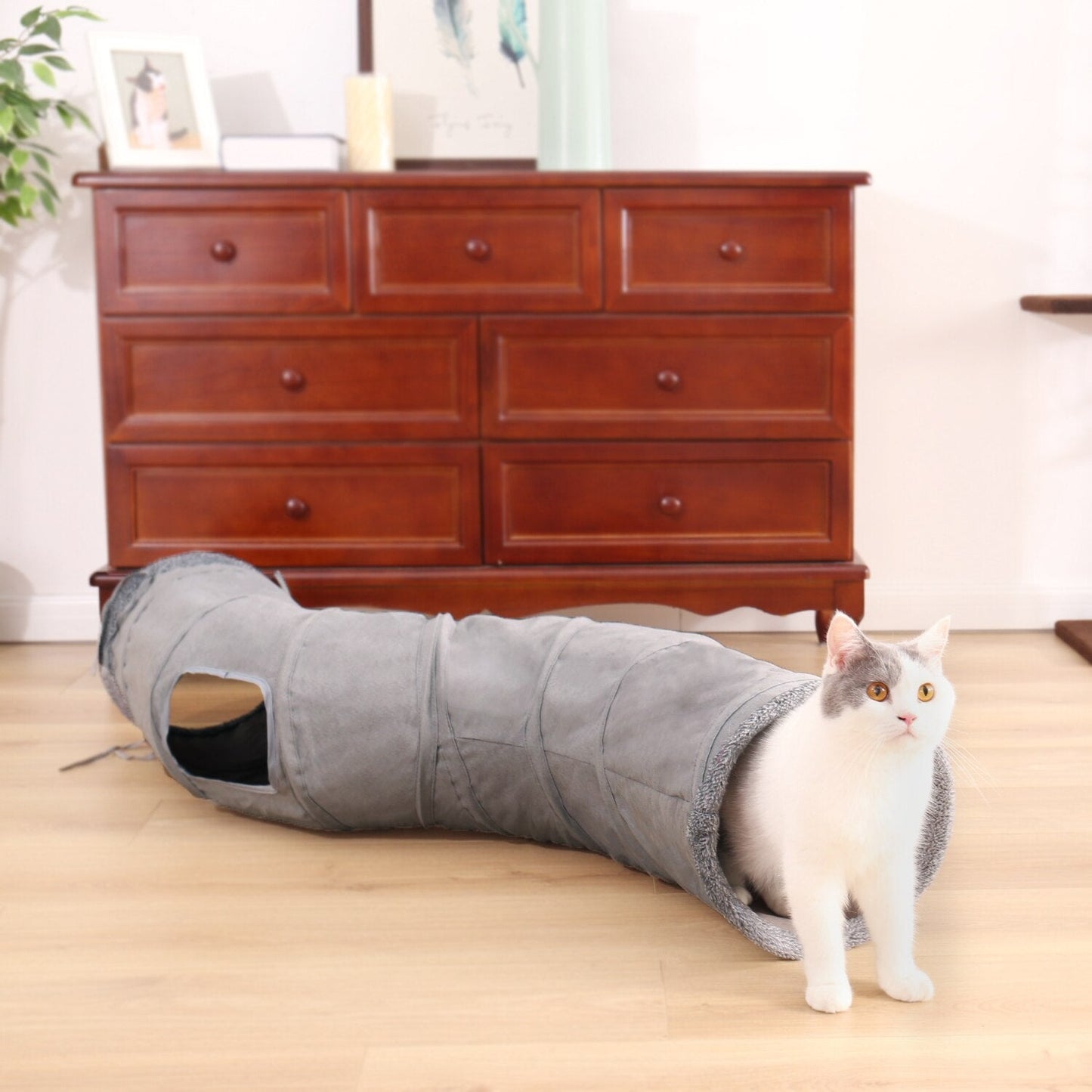 Collapsible Hideaway S Shape Cat Tunnel