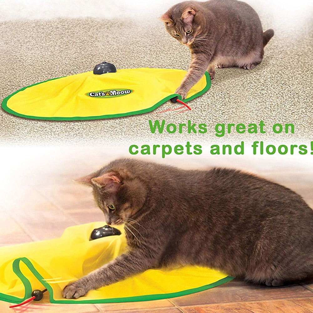 4 Speeds Automatic Funny Cat Toys