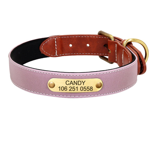 Leather Padded Nameplate Dog Collar