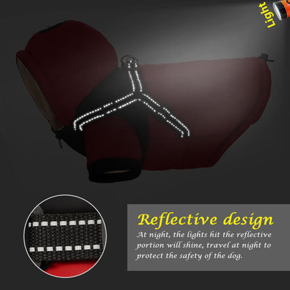 Reflective Dog Jacket With Harness