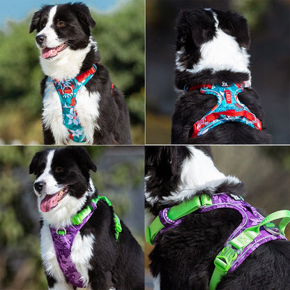 3 Fast Release Buckles Dog Harness