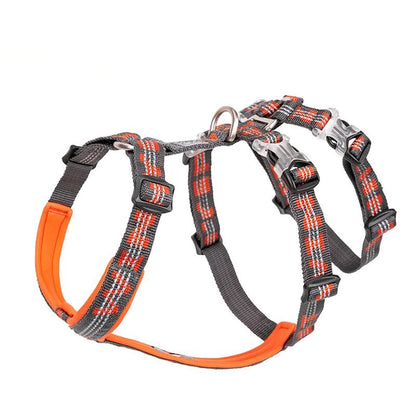 Double Straps Escape Proof Dog Harness