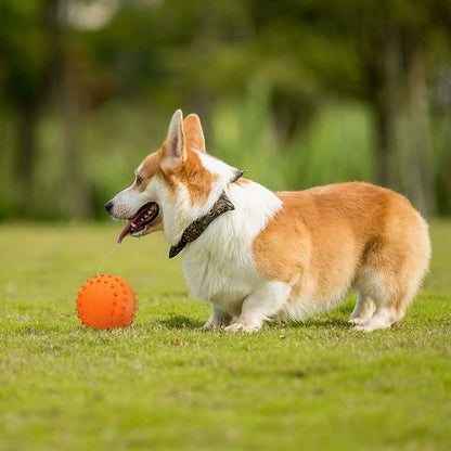 Built In Squeaker Strong Dog Ball Toy