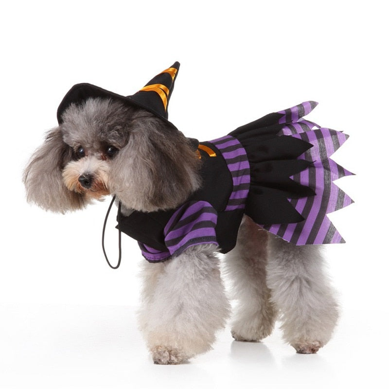 Halloween Purple Wizard Pets Costume