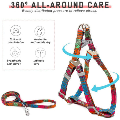 Retro Bohemia Dog Harness & Leash