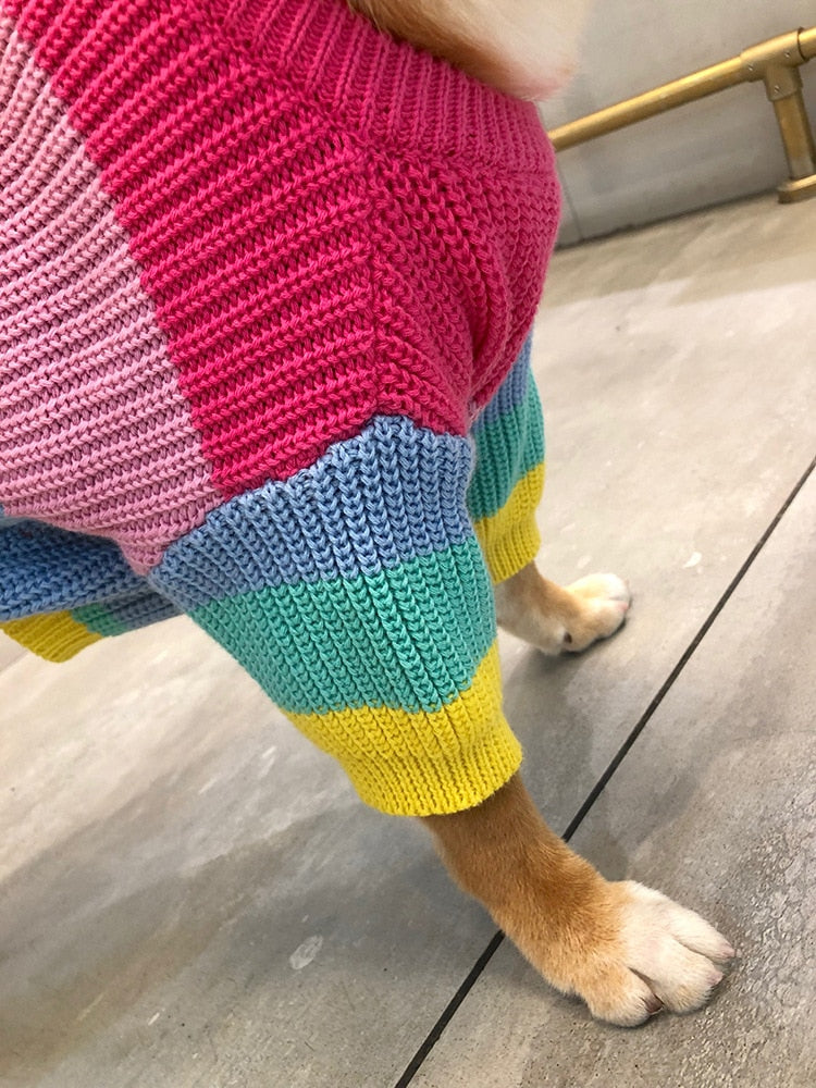 Knitted Rainbow Dog Sweater