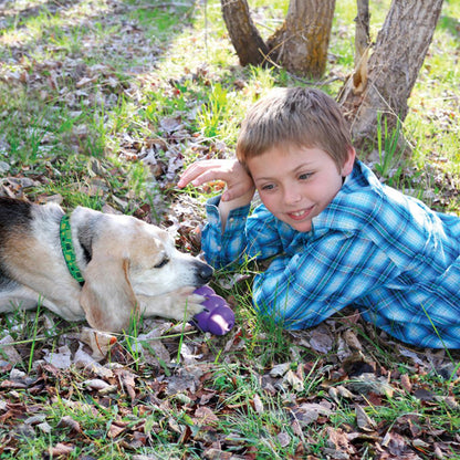 Senior Dog Fun Chew Toy