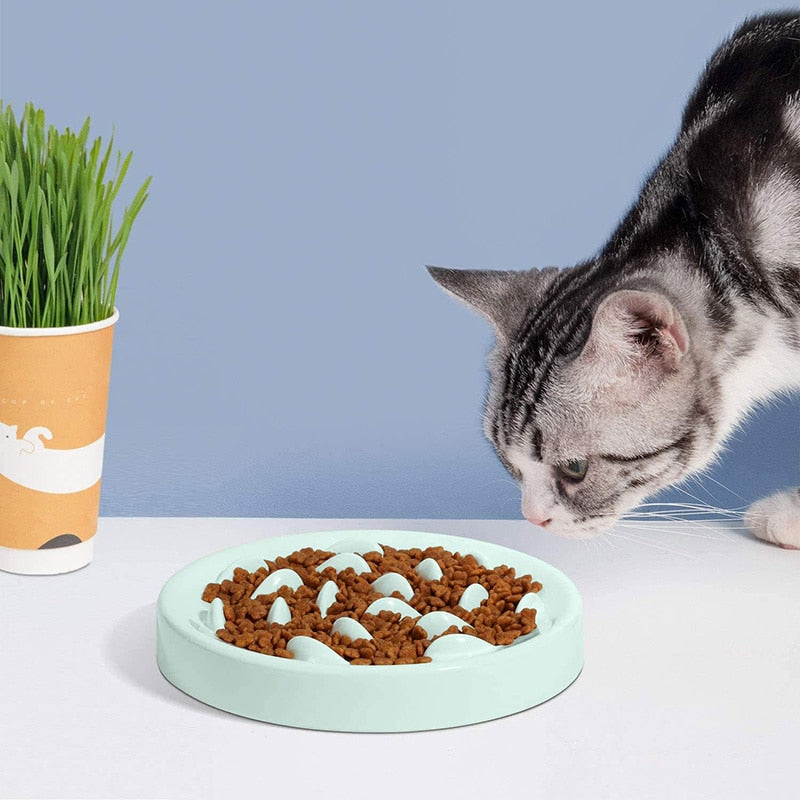 Interactive Melamine Pet Slow Feeder