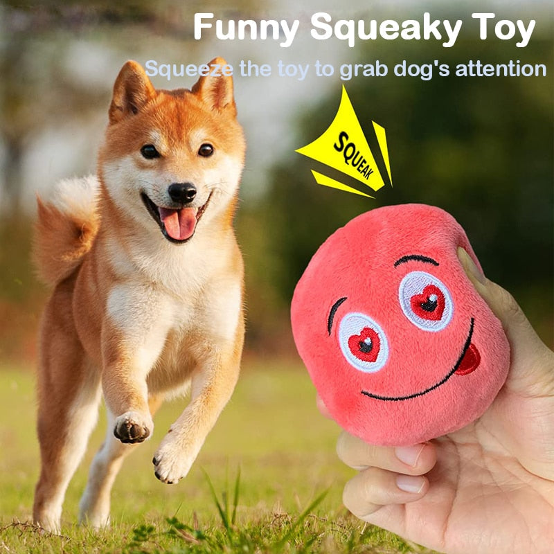 Funny Dog Squeaker Ball Toys