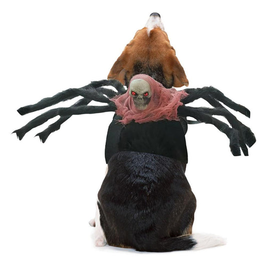 Halloween Skull Spider Pets Costume