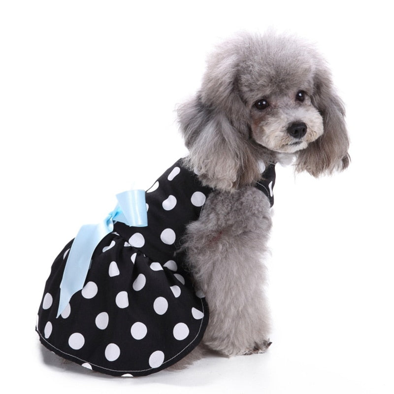 Adorable Cute Dot Pet Dress