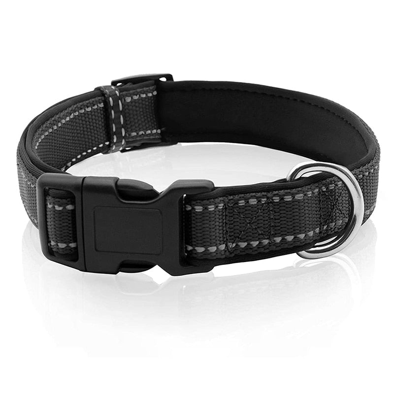 Reflective Neoprene Padded Dog Collar