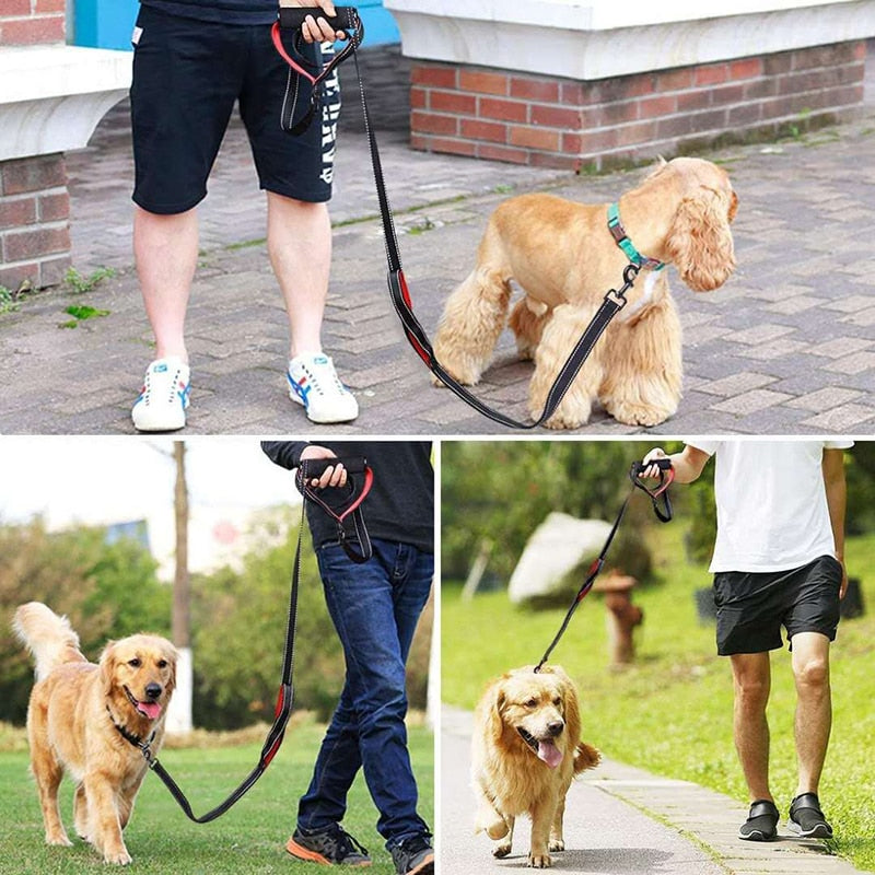 Heavy Duty Padded Handle Dog Leash