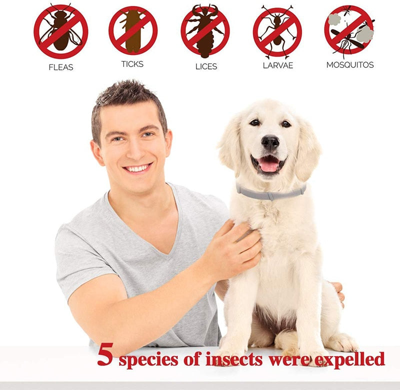 Effective Pet Flea Prevention Collar