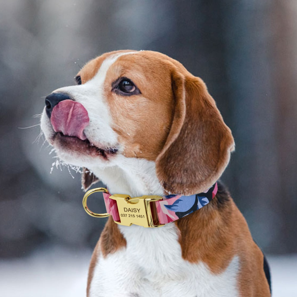 Nylon Flower Printed Dog Collar