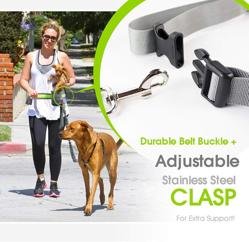 Elastic Reflective Running Dog Lead