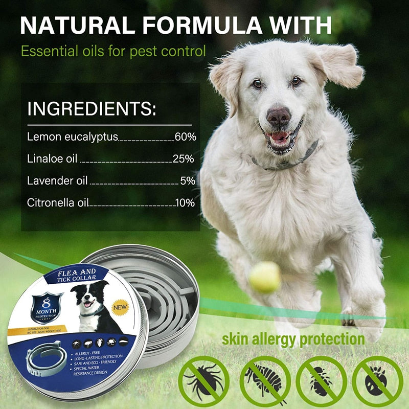 Effective 8 Month Protection Dog Flea Collar