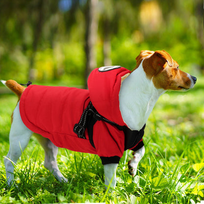 Reflective Dog Jacket With Harness