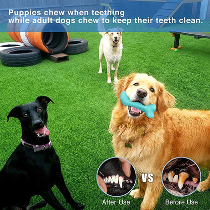 Squeaky Chewing Stick Dog Toys