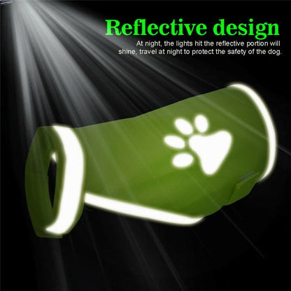 Reflective High Visibility Dog Vest