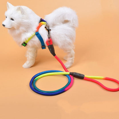 Colorful Nylon Rainbow Dog Leash