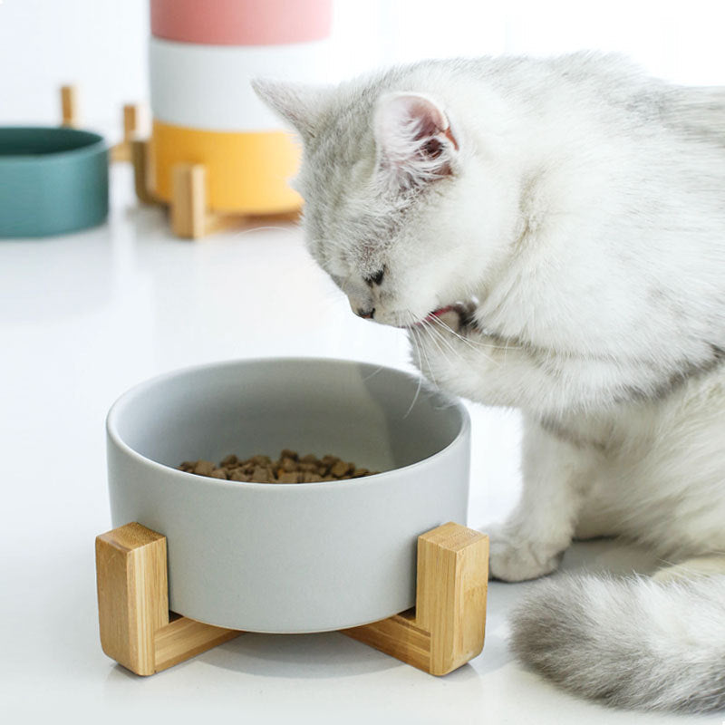 Ceramic Dog Bowl With Wood Stand