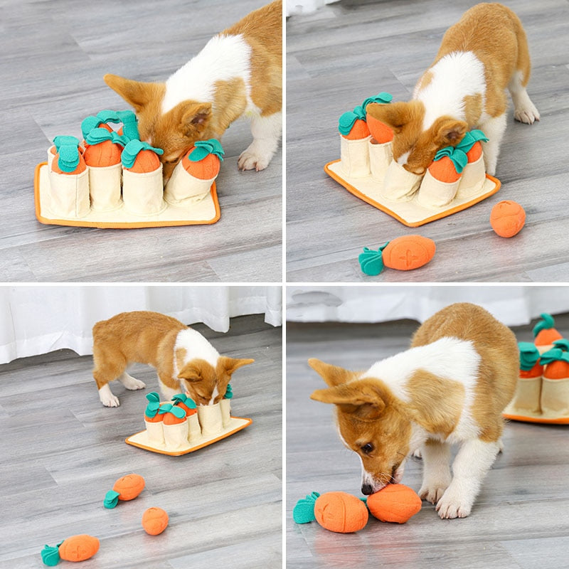 Fun Carrot IQ Dog Snuffle Toy