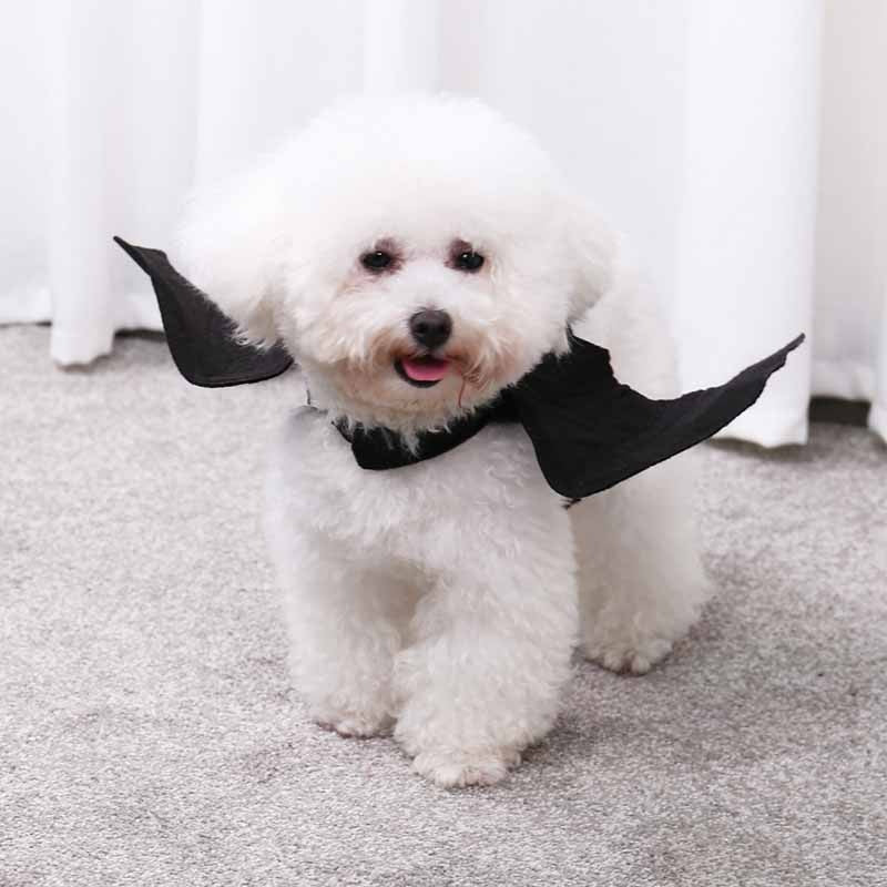 Halloween Bat Wings Pet Costumes