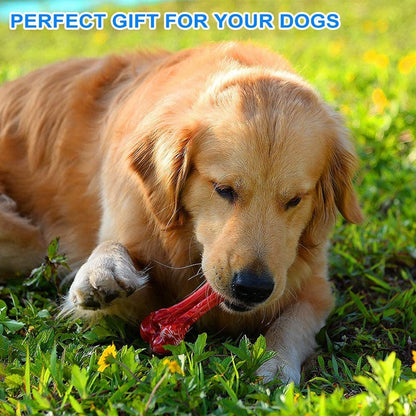 Beef Flavor Red Bone Dog Toy