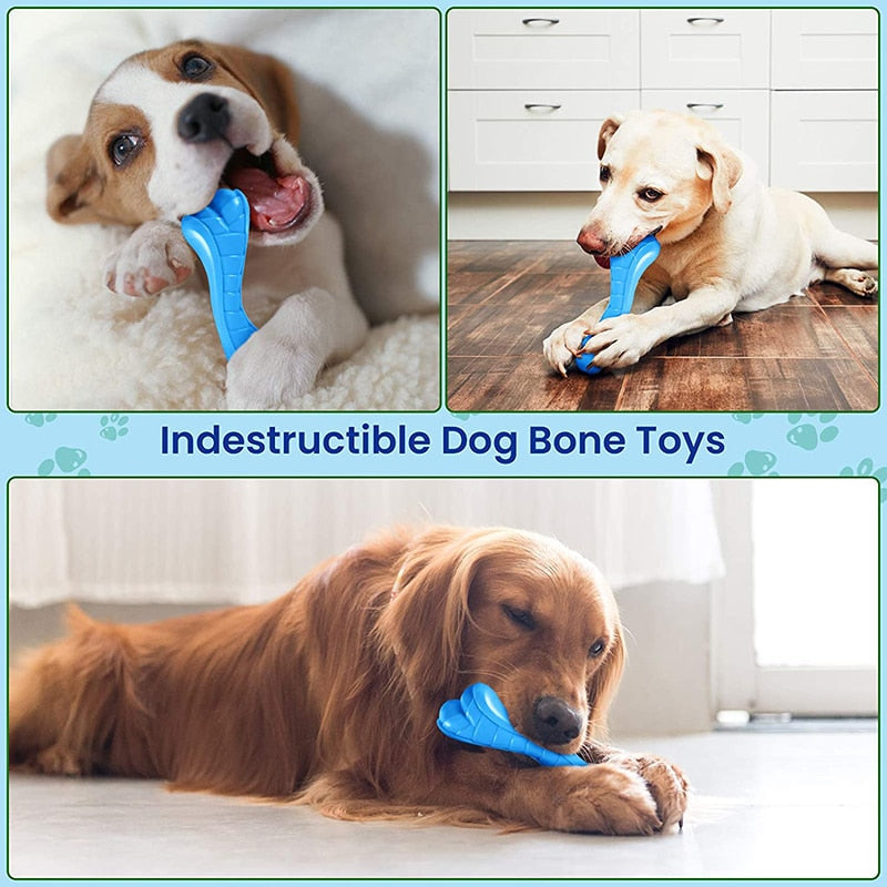 Bite Resistant Nylon Dog Bone Toy
