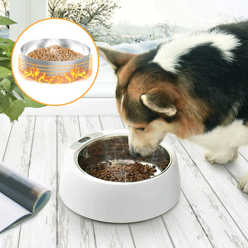 Winter Pet Smart Heated Feeders